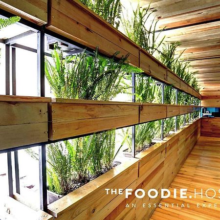 The Foodie Hostel Mexico by Eksteriør bilde