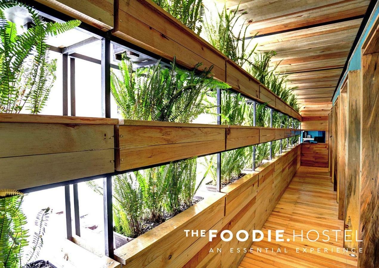 The Foodie Hostel Mexico by Eksteriør bilde